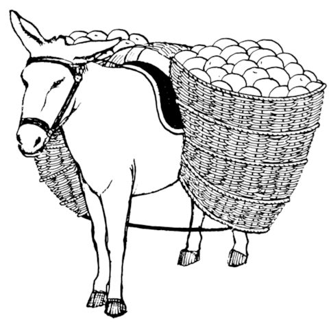 Donkey With Pannier Coloring Page